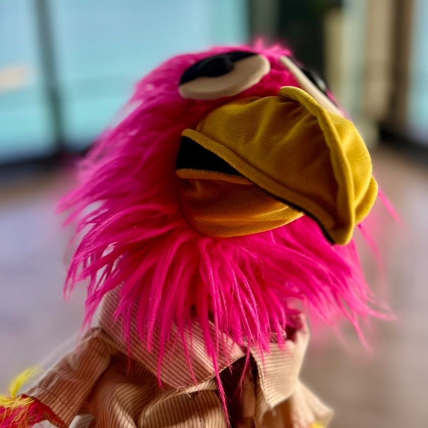 Chad the Bird