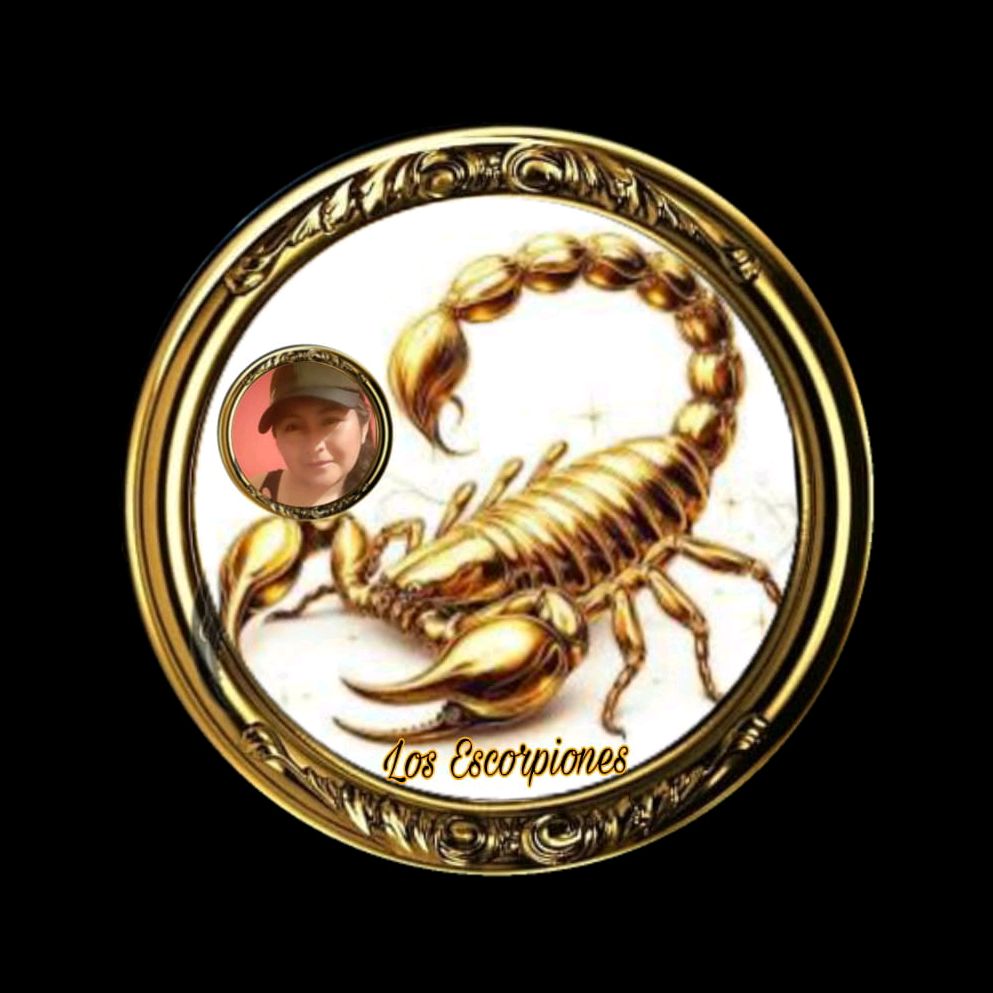 ꧁ℂ𝕙𝕒𝕧𝕖𝕝𝕚𝕥𝕒🦂🦂🇧🇴꧂