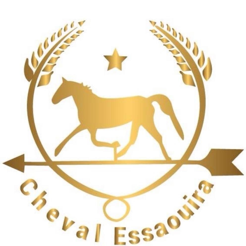 Cheval Essaouira🤠