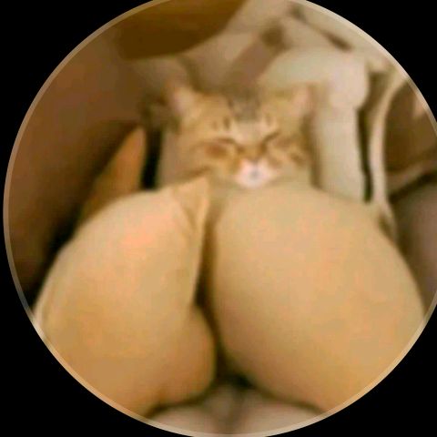 chicara