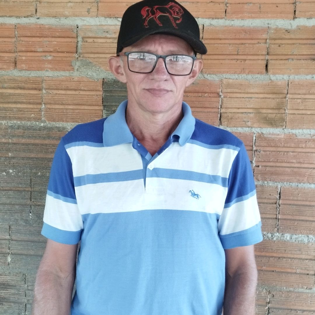 chicorato