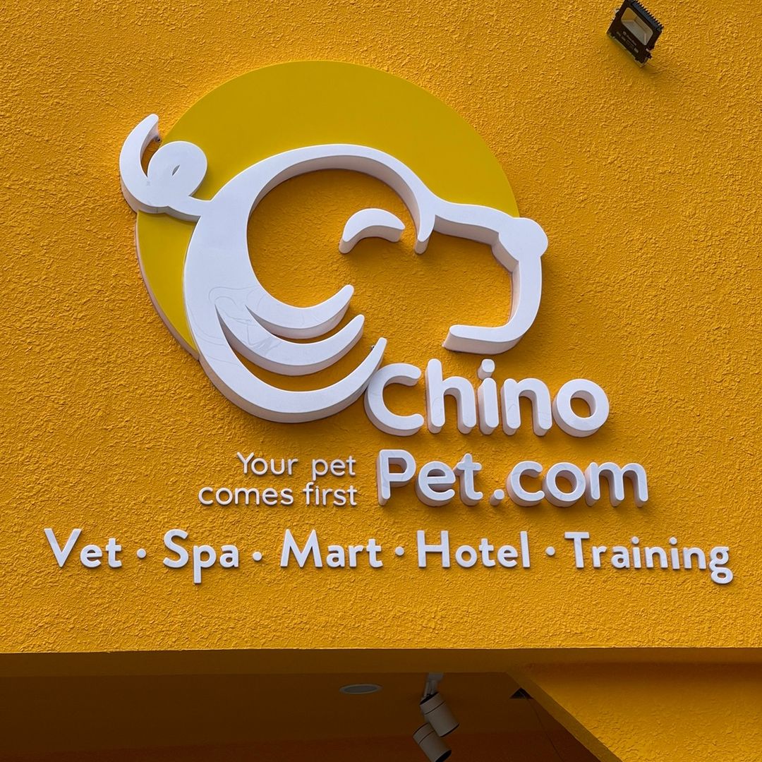 Chinopet