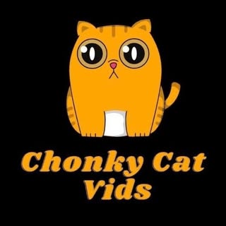 Chonky Cat Vids