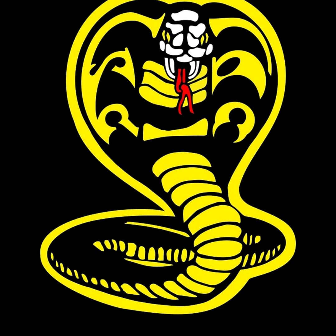 cobra kai