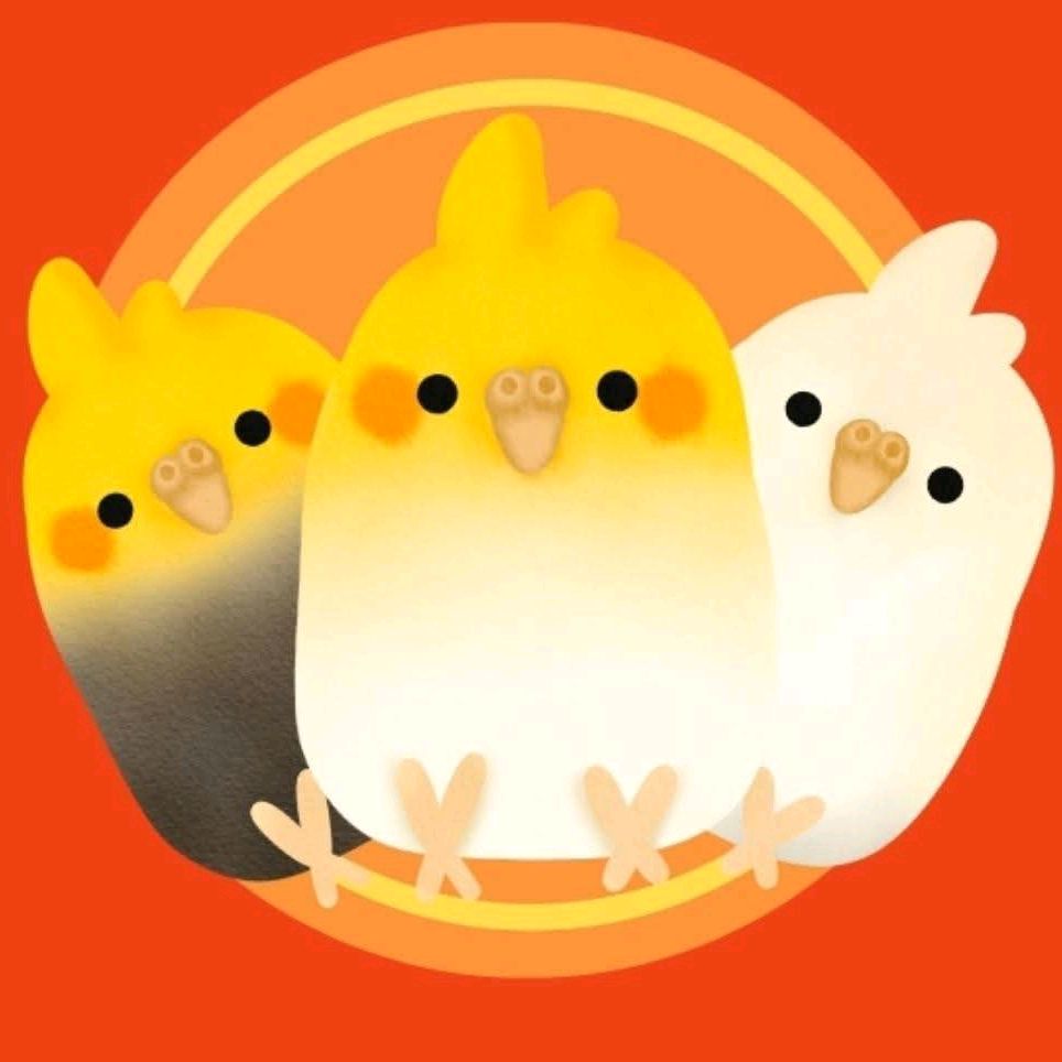 Cockatiels Craze