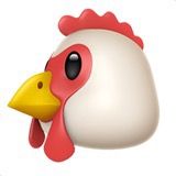 Comedy Chicken🤣🐔🔥