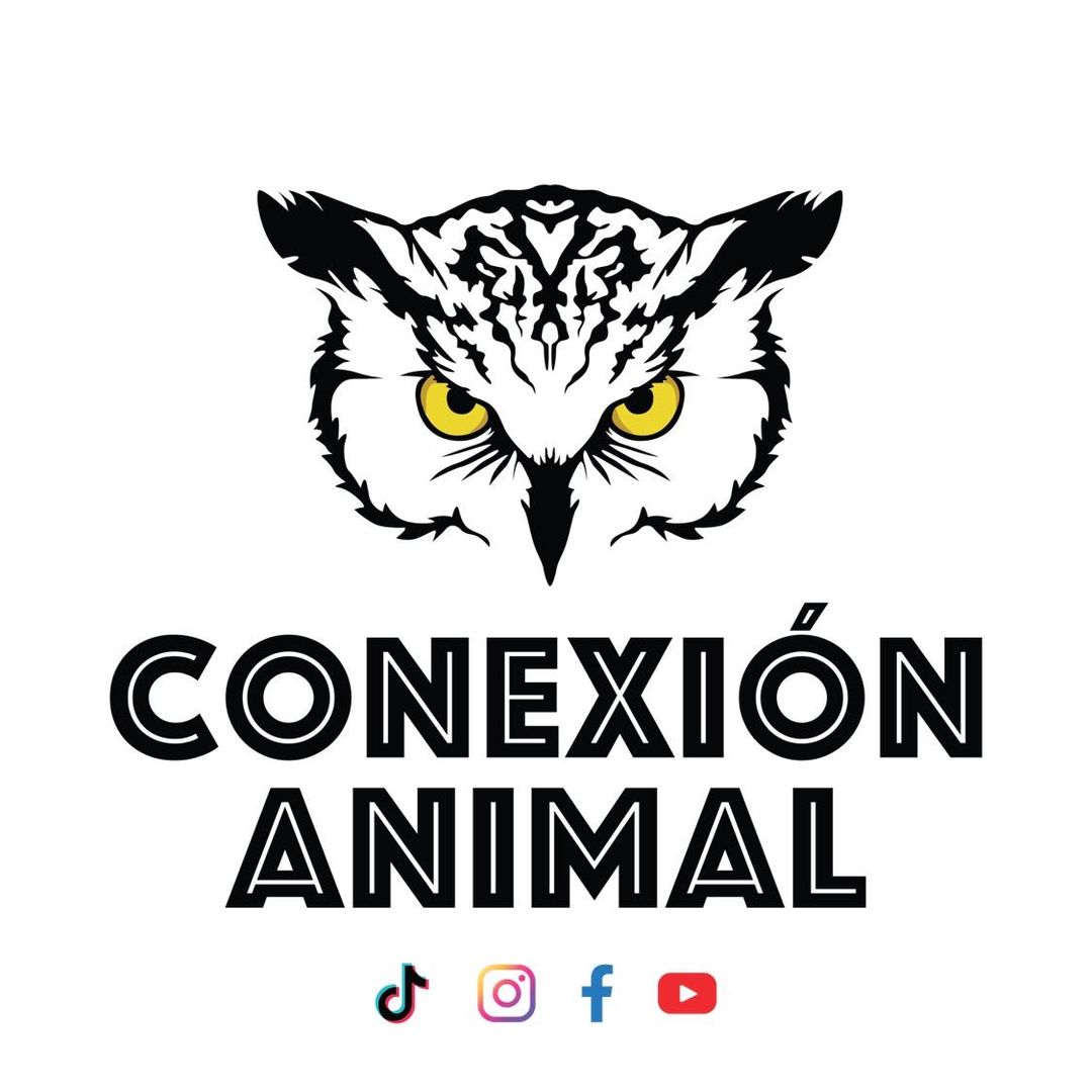 Conexión Animal