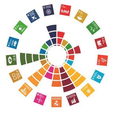 The Sustainable Development Goals #SDG🫶