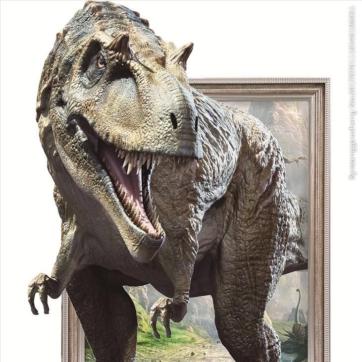 corrys8