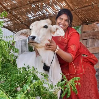 Cowsblike