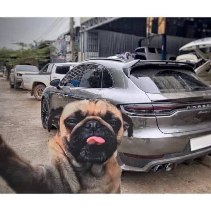 ៚_____ L _____❤️🔫🧢