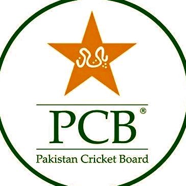 Cricket lovers