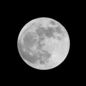 Crónicas De La Noche