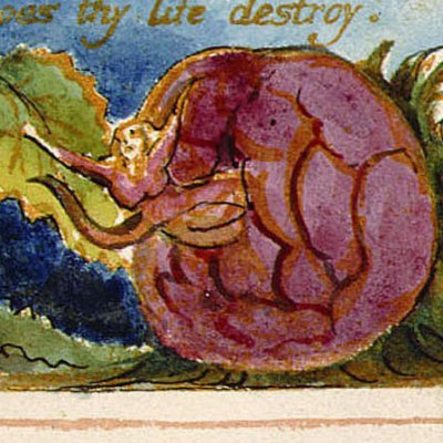 timothy faust 🇵🇸