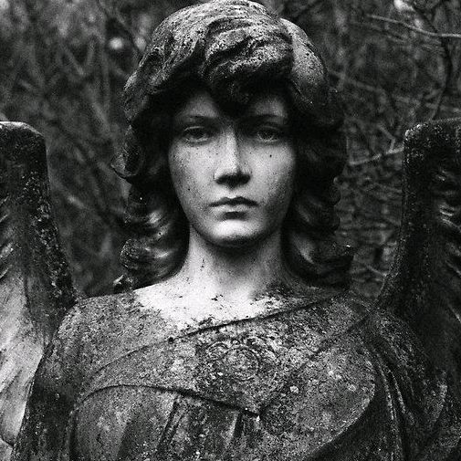 Cuentos y Relatos DM