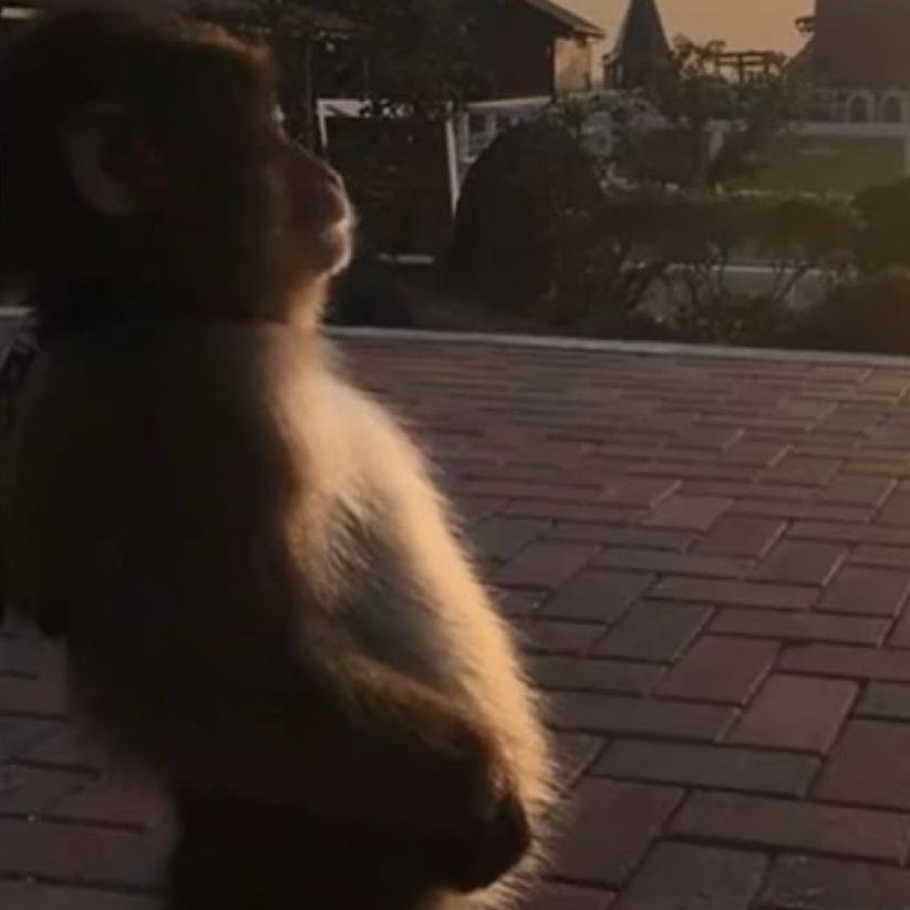 CUENTA PARA PASAR RATO  