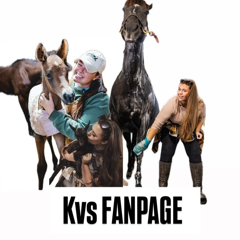 FanpageofKatieVS