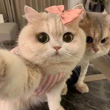 cute life12