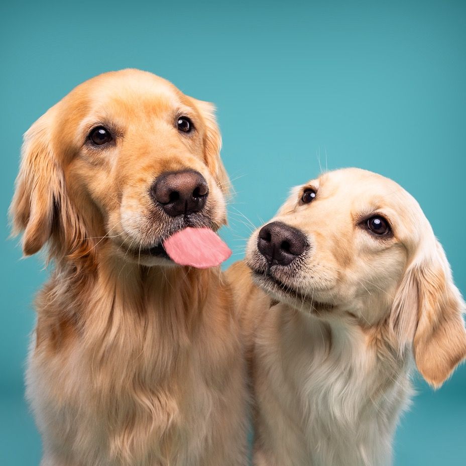 Daisy & Maple