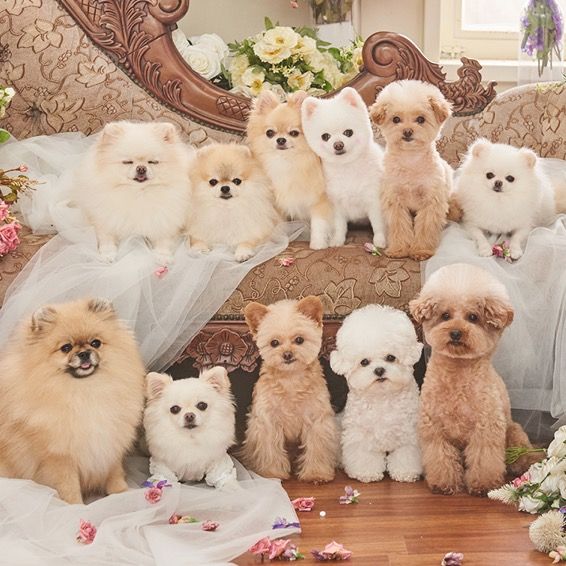 달달시스타즈🍼