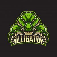 Alligator