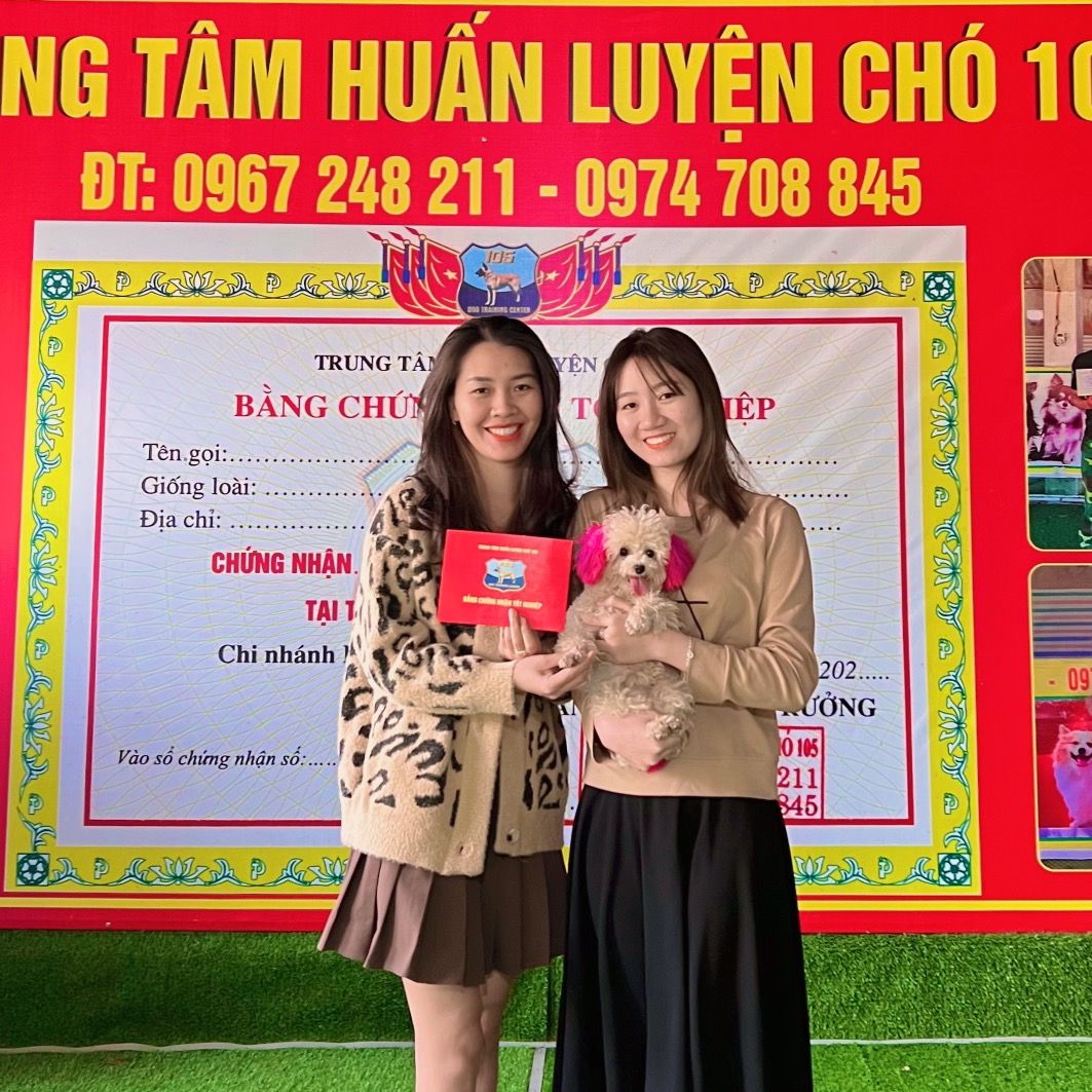 DẠY CÚN CƯNG  ✅
