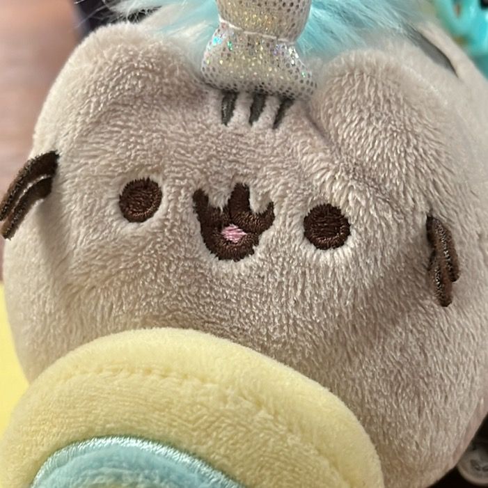 marsy >₍^. .^₎<