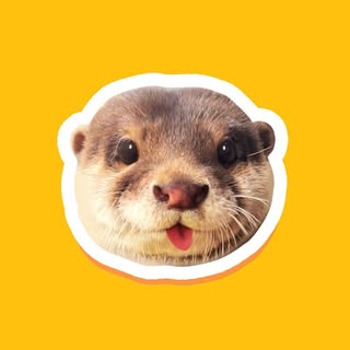 degensiotter