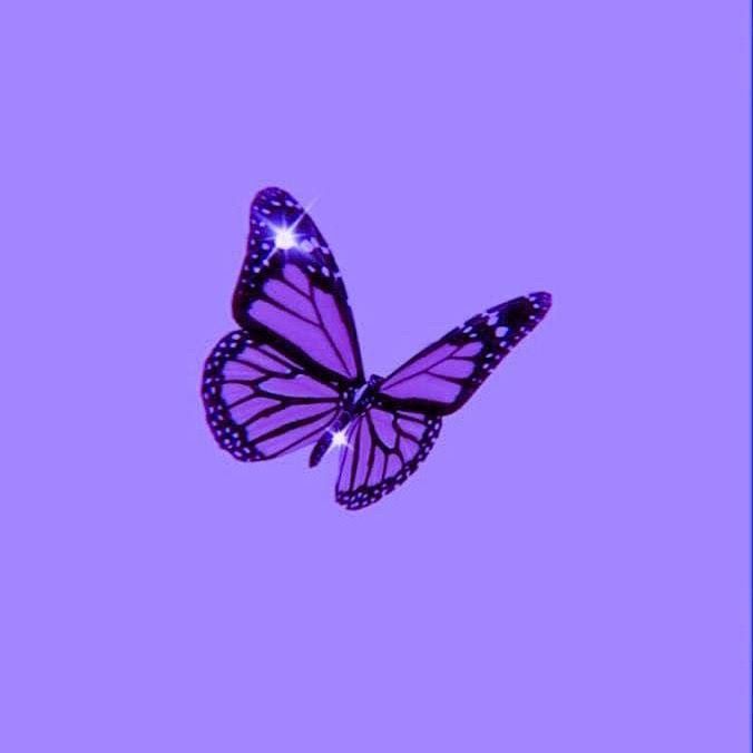 D E L I 