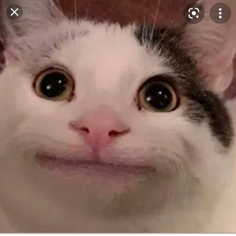 beluwuga