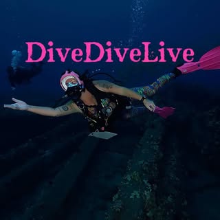 DiveDiveLive!🦈