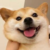 doggy little scientist