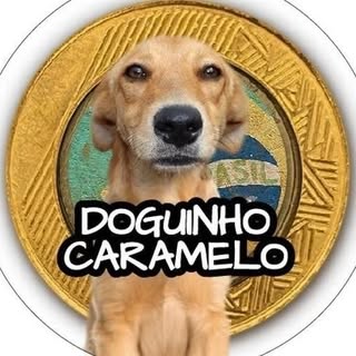 Doguinho Caramelo