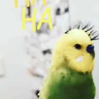 Duke Philippe 🎗️