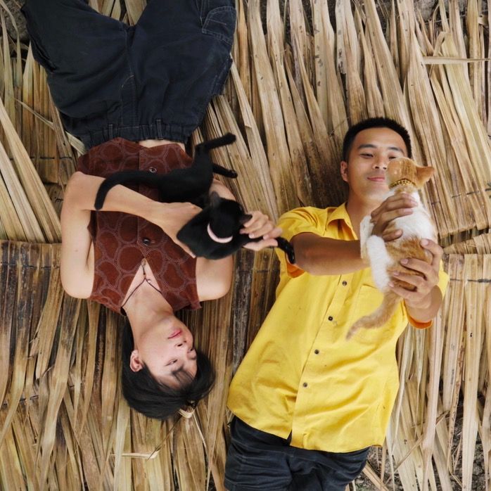 Đủ Lông Đủ Cánh