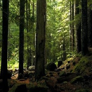 EarthsCraft