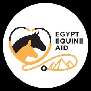 Egypt Equine Aid
