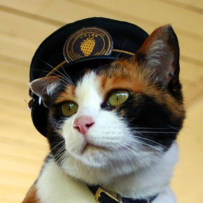 駅長たま