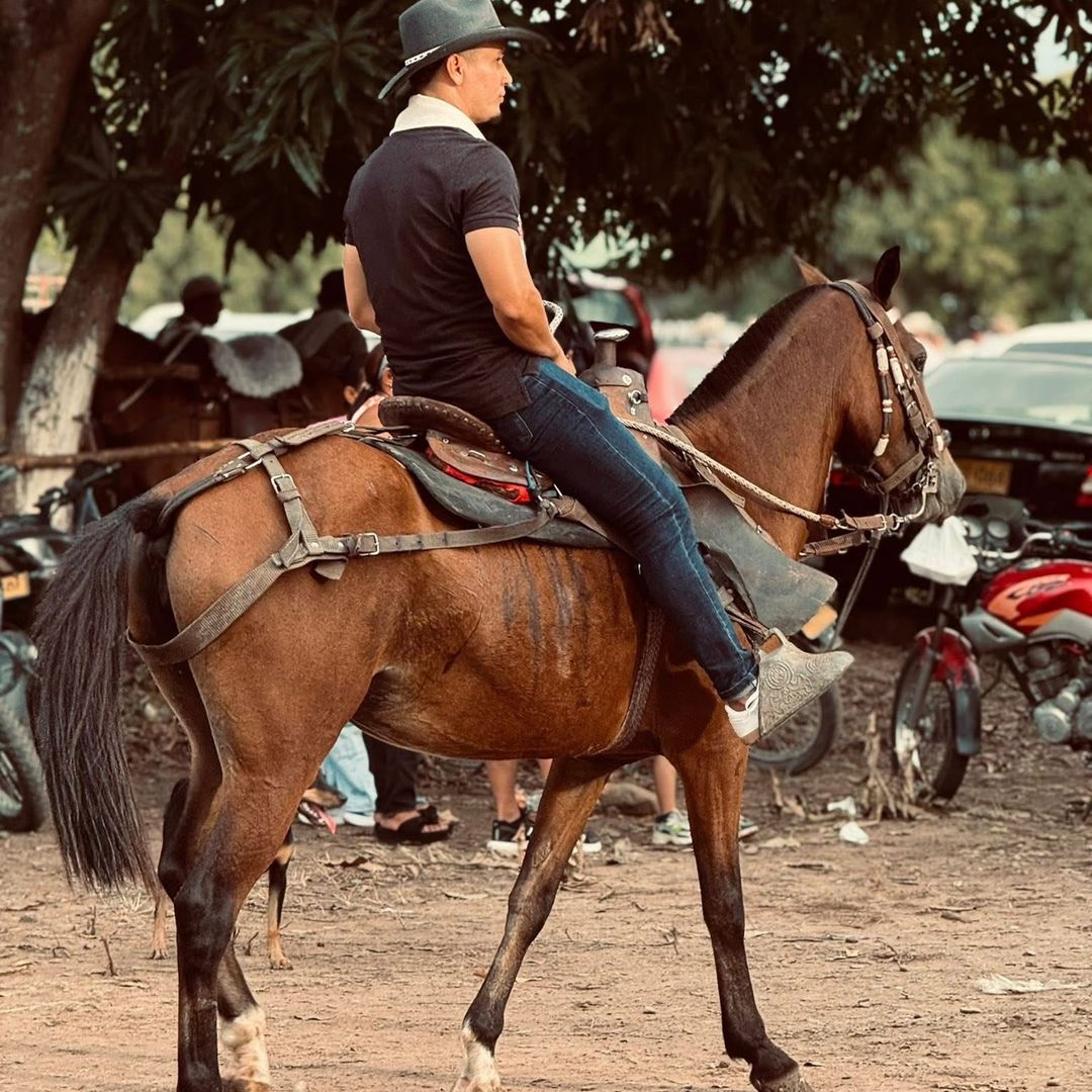 El pello papi