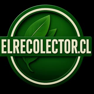 ELRECOLECTOR.CL