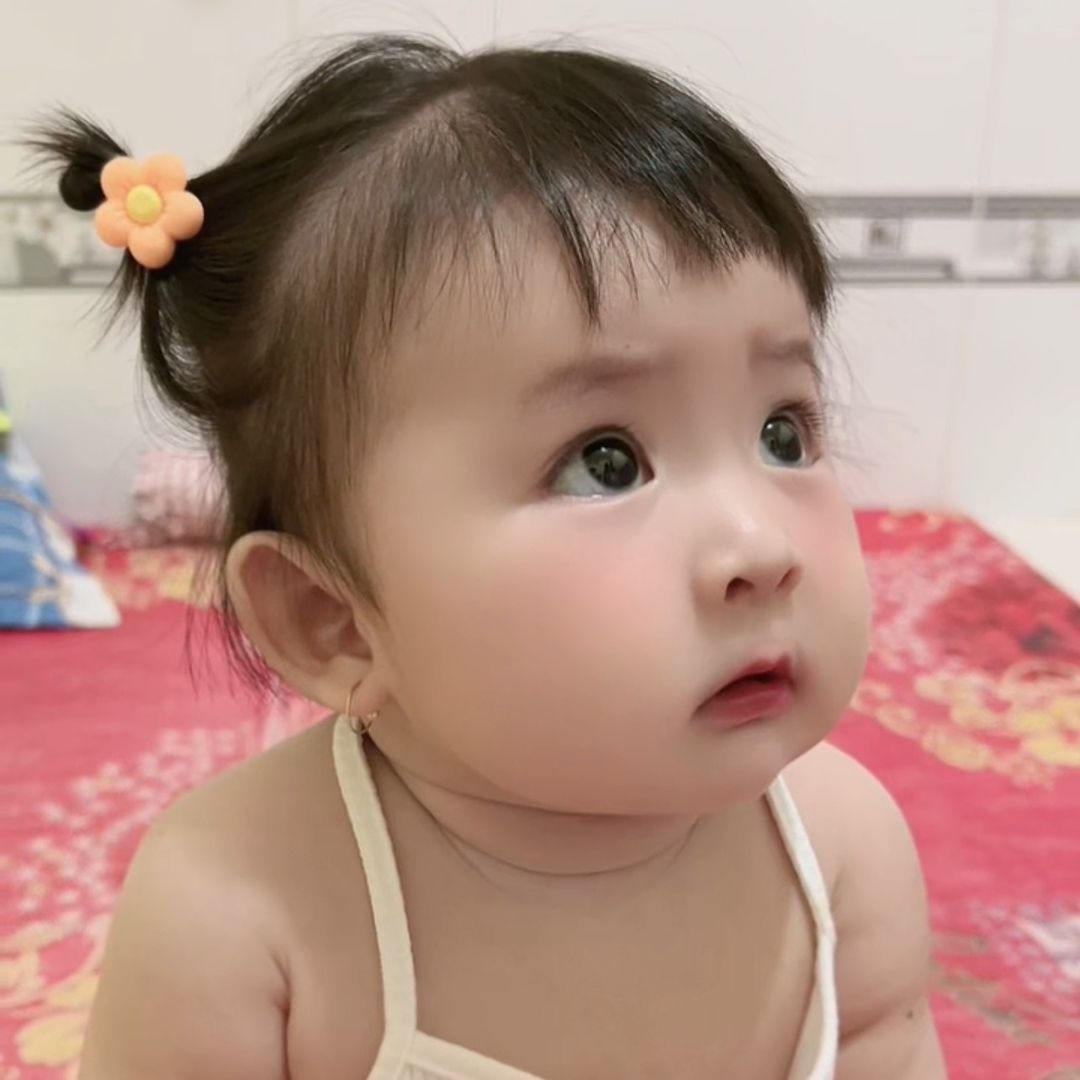 Mèo San San