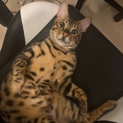 emongg