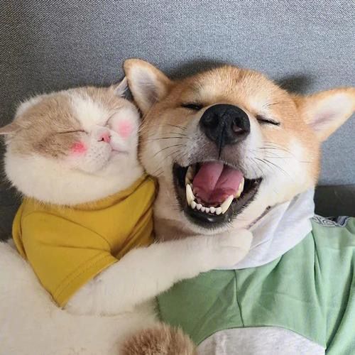 emotional_neon_sign8512