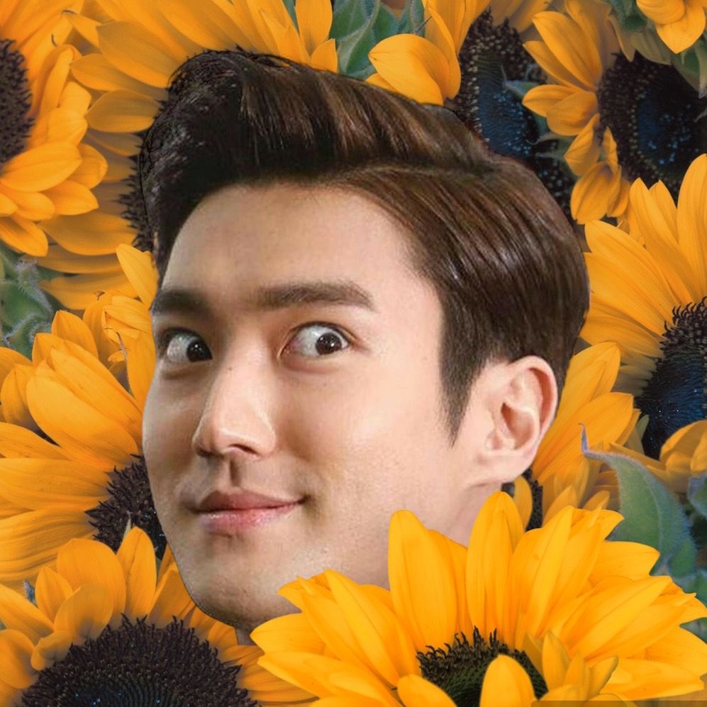 Entre Dramas e Kpop