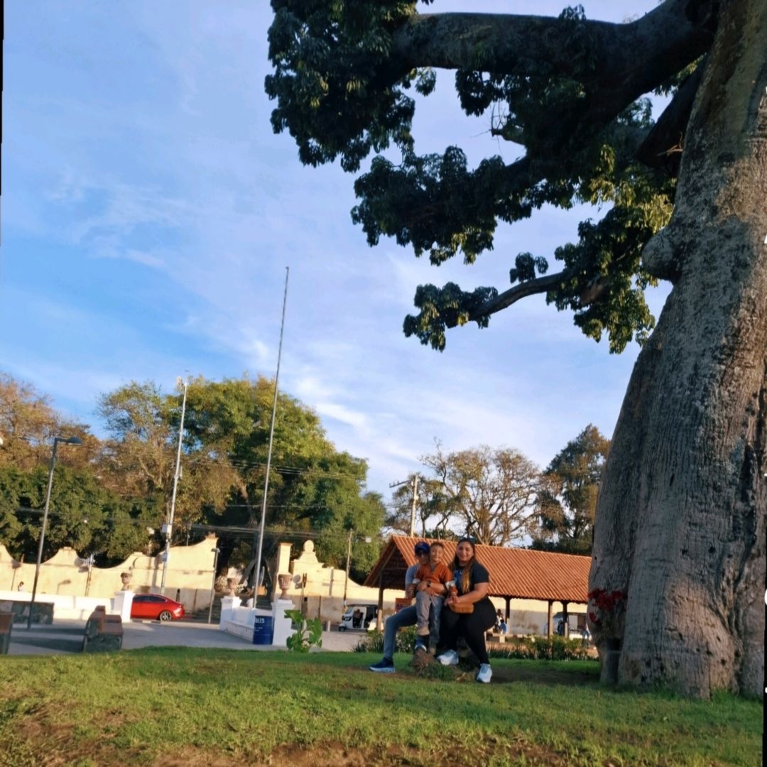 Elena villanueva 🪷