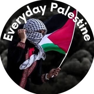EveryDayPalestine