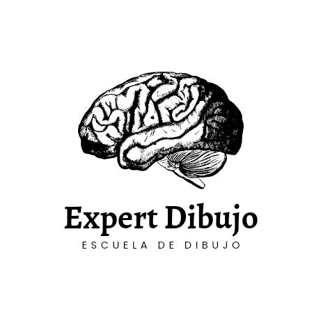 Dibujo Expert