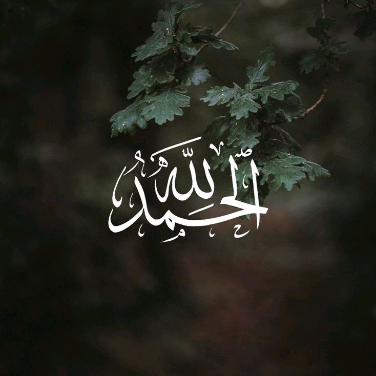 منهج السلف