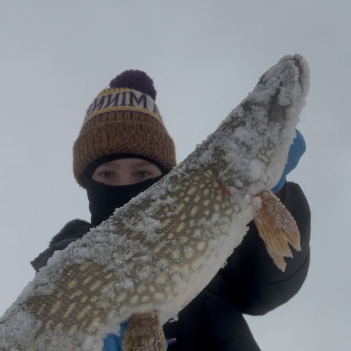 FattBassFishing