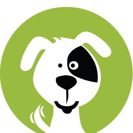 Fetch n Fun Doggy Daycare